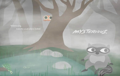 Little Owl's Fog US - Hardback