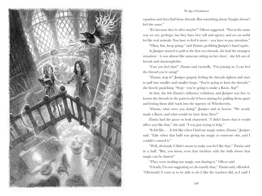 Chronicles of Whetherwhy: The Age of Enchantment US - Hardback