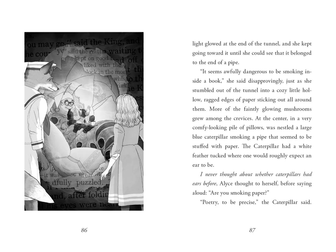 Alice with a Why US - Hardback