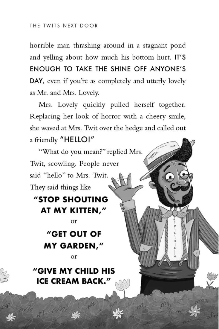 The Twits Next Door US - Hardback