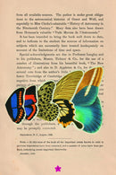 The Secret Astronomers US - Hardback