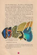 The Secret Astronomers US - Hardback