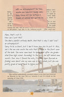 The Secret Astronomers US - Hardback