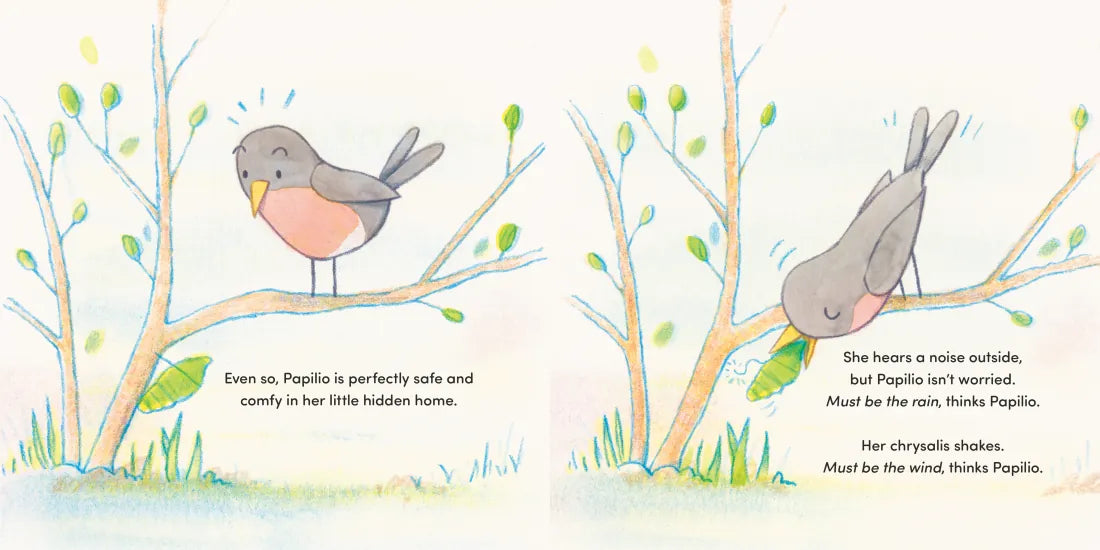 Papilio US - Hardback