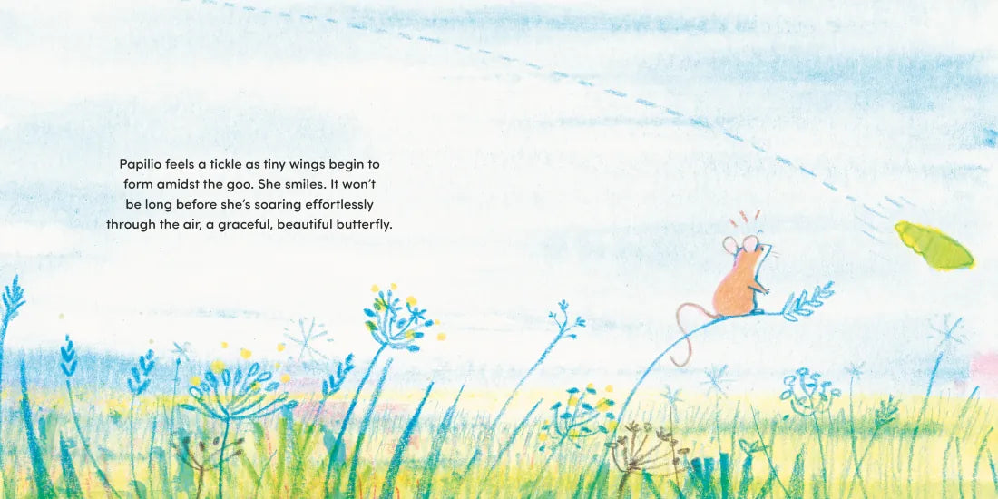 Papilio US - Hardback