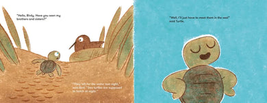 Turtle Slept In US - Hardback