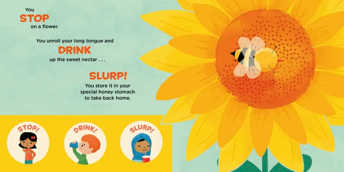 You Are a Honey Bee! US - Board book