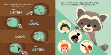 You Are a Raccoon! US - Board book