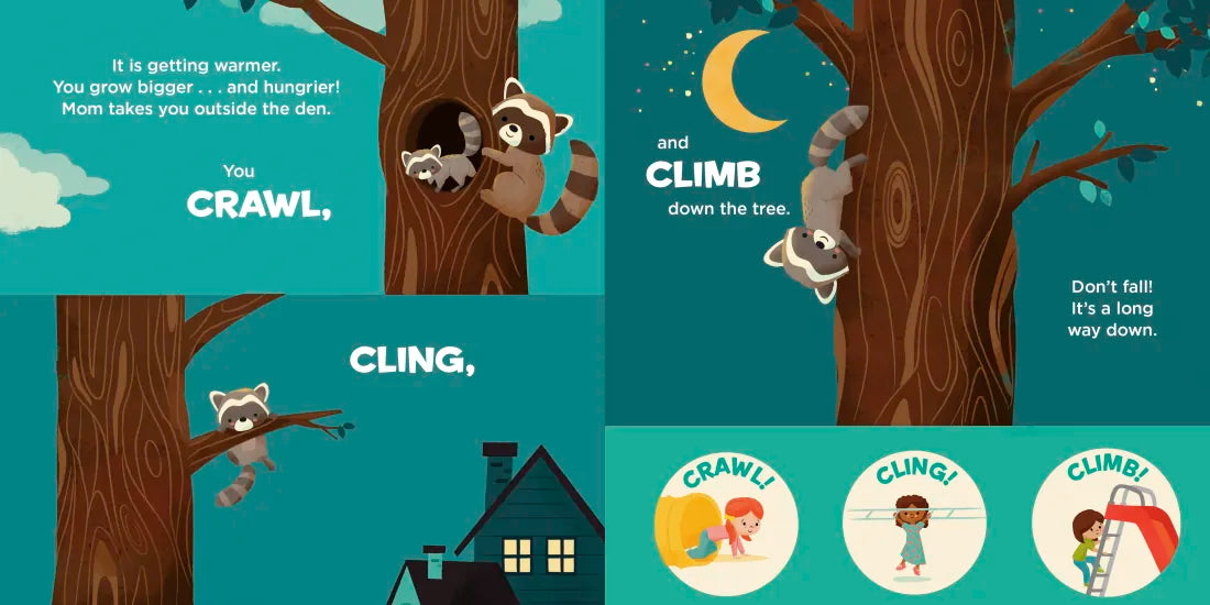 You Are a Raccoon! US - Board book
