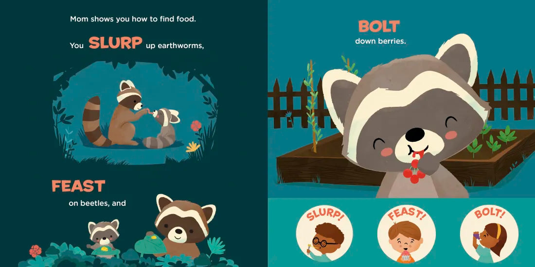 You Are a Raccoon! US - Board book