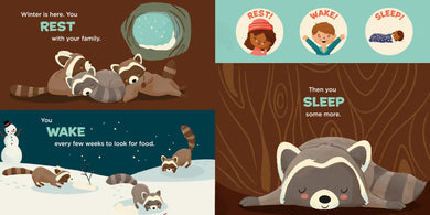 You Are a Raccoon! US - Board book