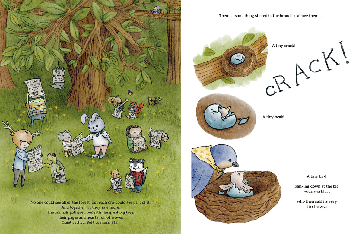 The Daily Wow interior 4 (ISBN 9780593697177)