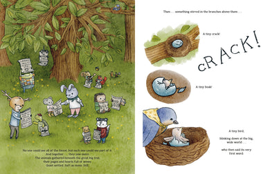 The Daily Wow interior 4 (ISBN 9780593697177)