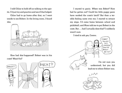 Penny Draws a Team Sport US - Hardback