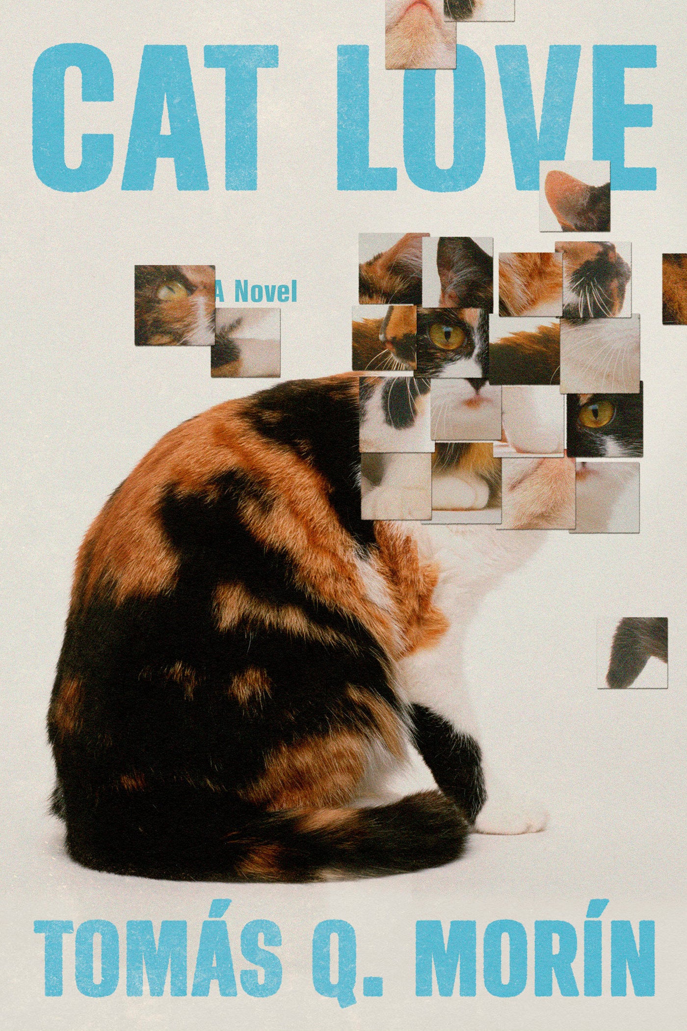 Cat Love