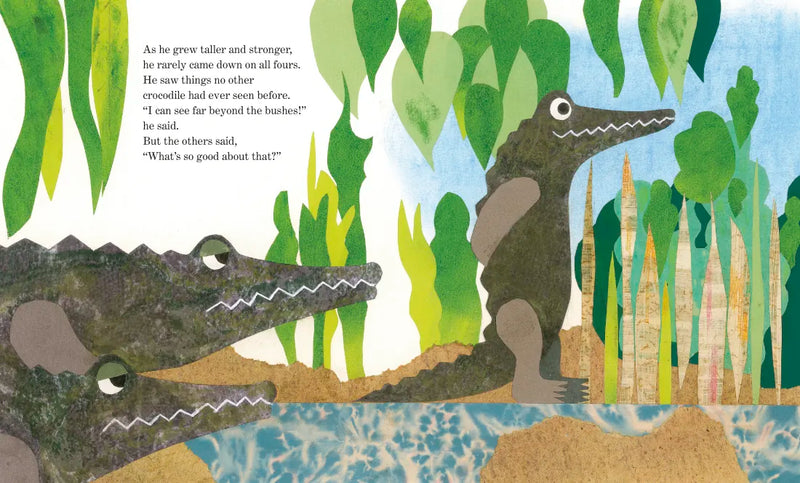 Cornelius (Oversized Board Book) US - Board book