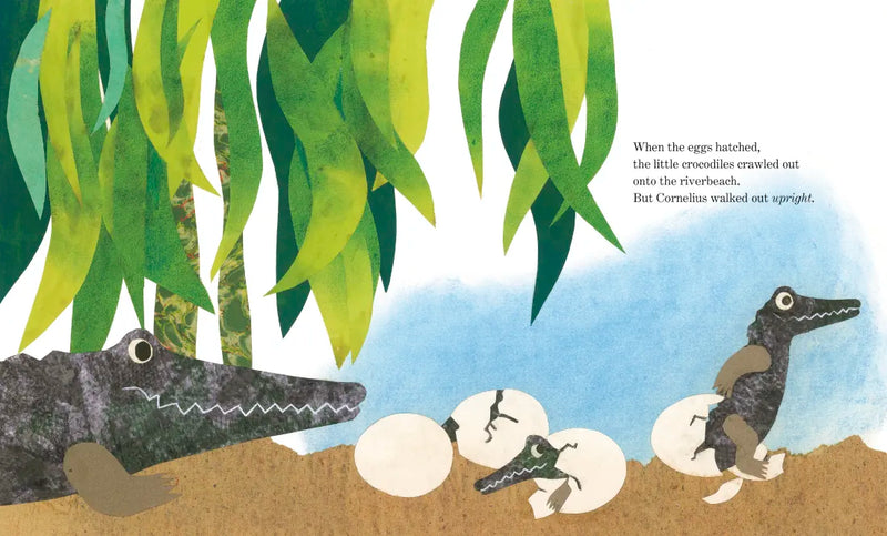 Cornelius (Oversized Board Book) US - Board book