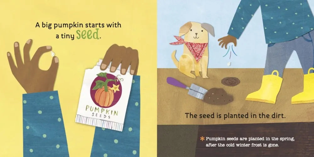 Hello, World! From Seed to Pumpkin US - Board book