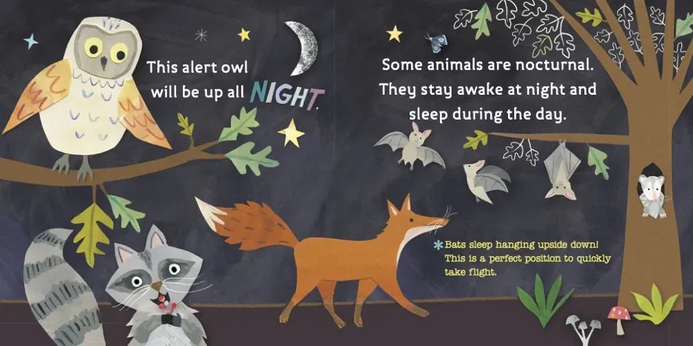 Hello, World! Bedtime US - Board book