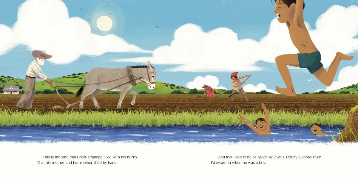 Dream for the Land US - Hardback (9780593710302)
