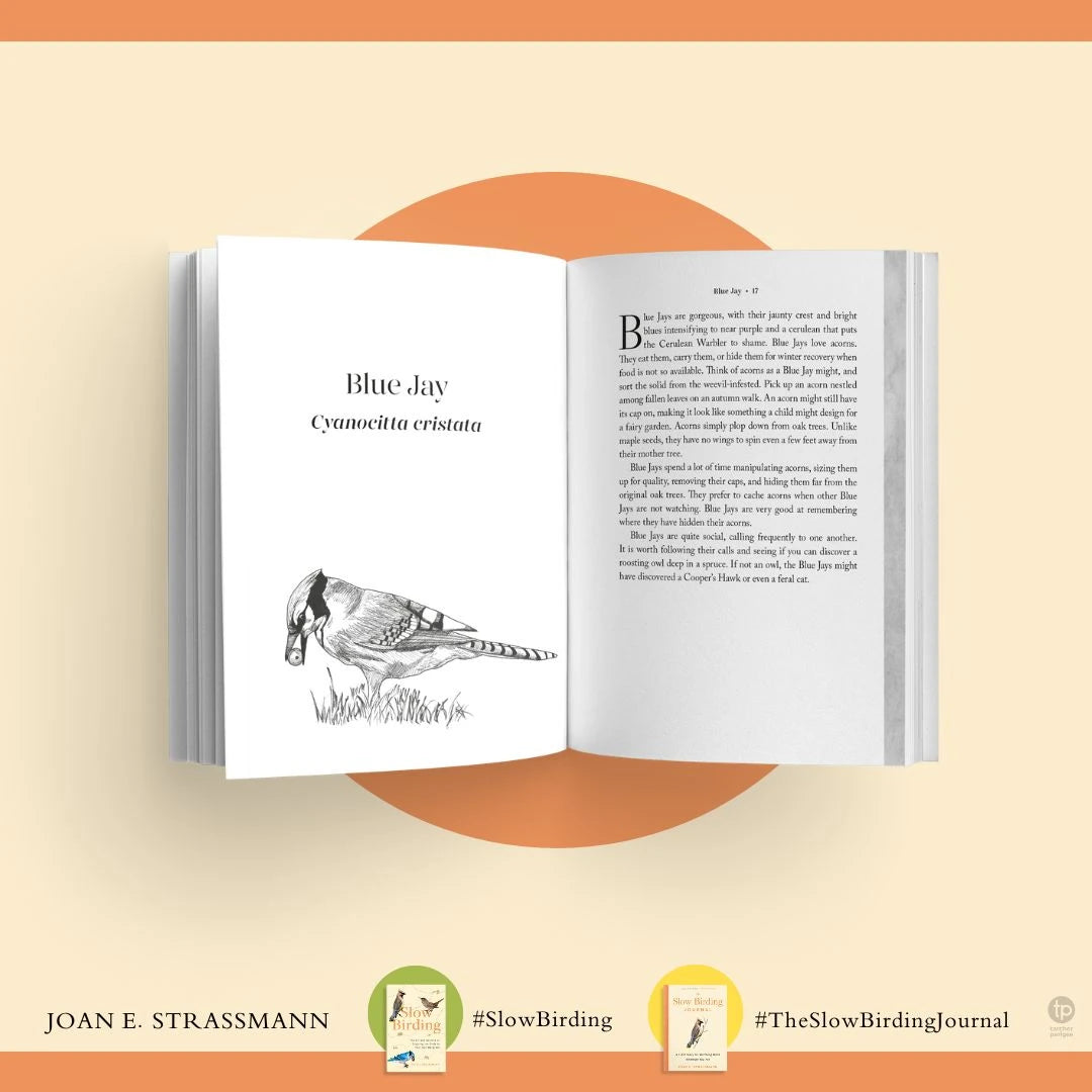 The Slow Birding Journal US - Paperback / softback