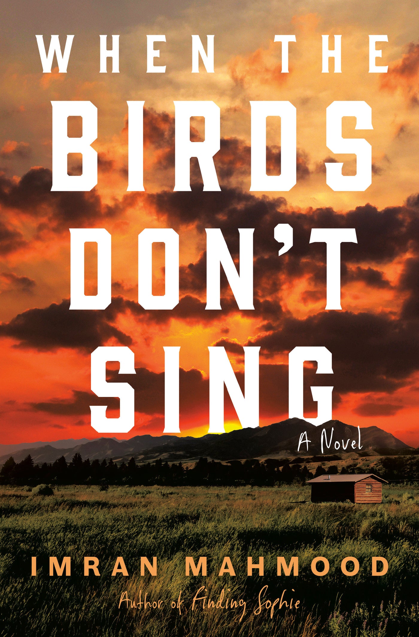 When the Birds Don't Sing
