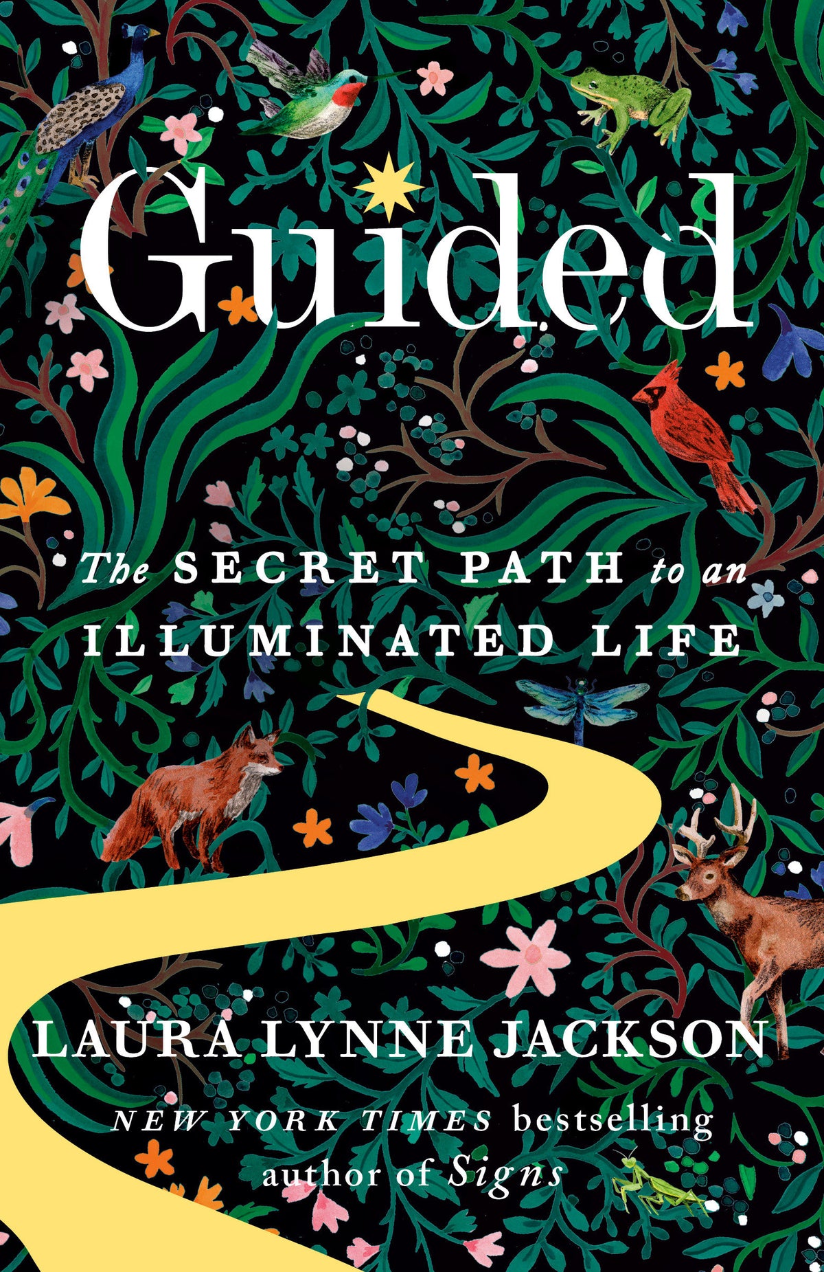 Guided cover (ISBN 9780593729595)