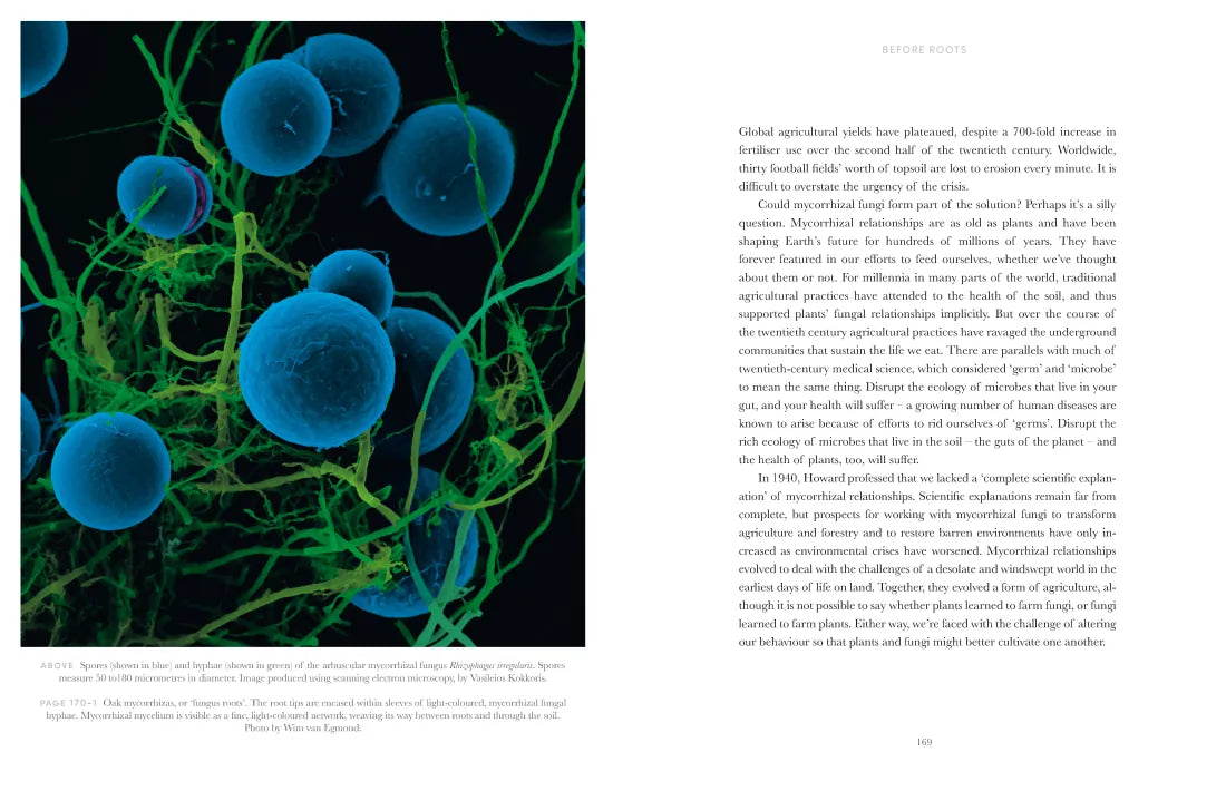Entangled Life: The Illustrated Edition US - Hardback