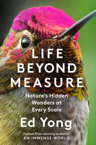 Life Beyond Measure cover (ISBN 9780593733288)