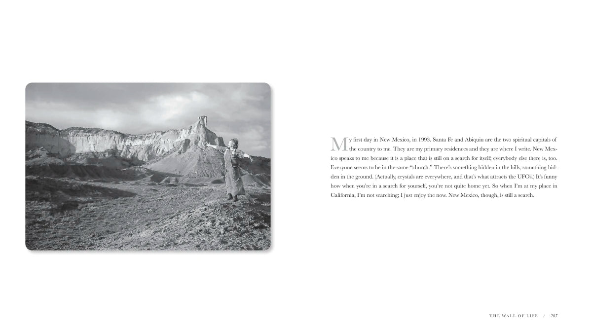 The Wall of Life US - Hardback