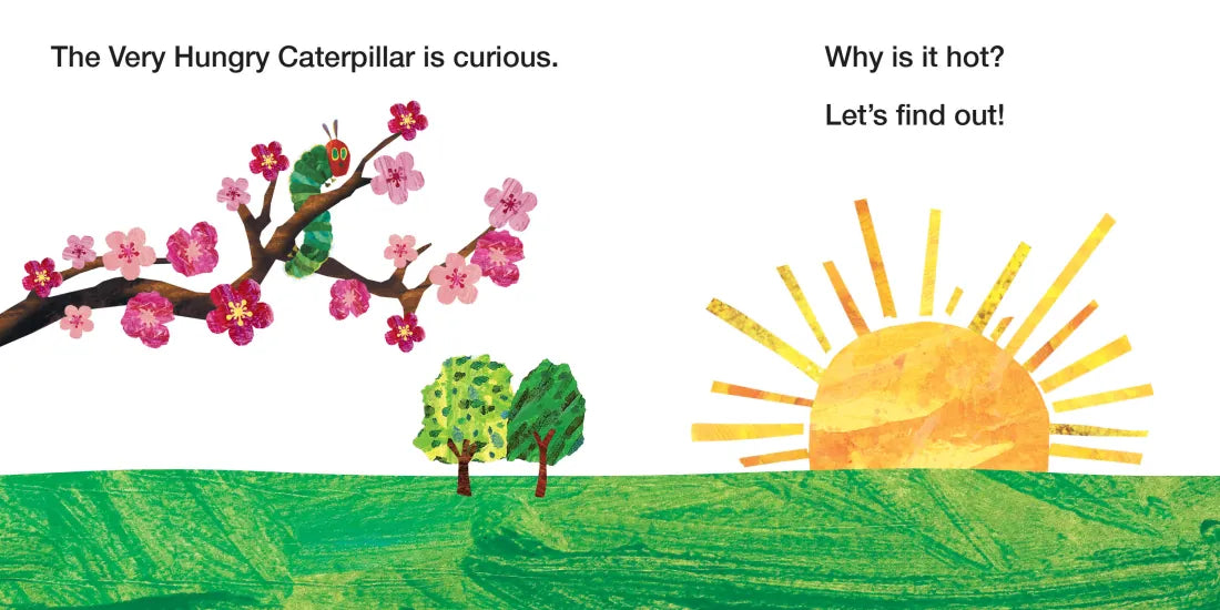 Why Is It Hot? US - Board book