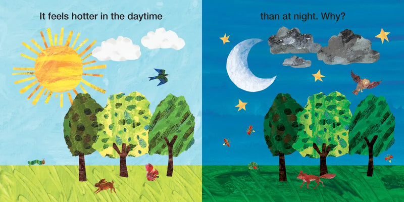 Why Is It Hot? US - Board book