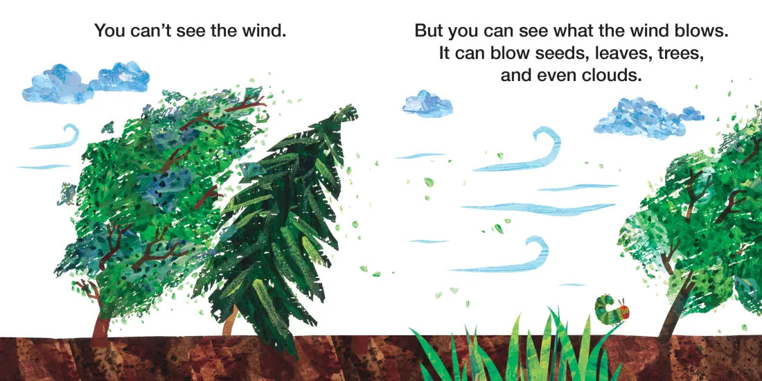 Why Does the Wind Blow? US - Board book