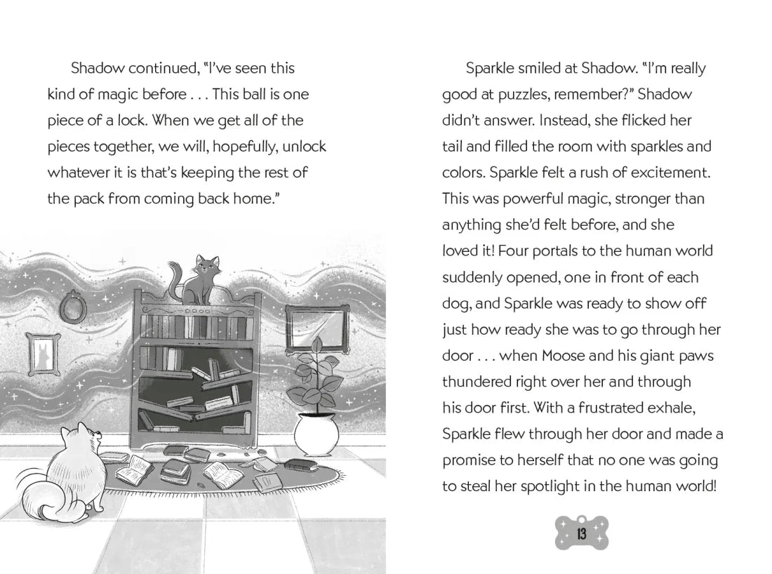 Sparkle and Iggy Take Flight #2 US - Paperback / softback