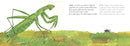The Very Quiet Cricket/El grillo muy silencioso (Bilingual English-Spanish Edition) US - Board book