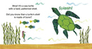 Mister Seahorse's Ocean Friends US - Board book