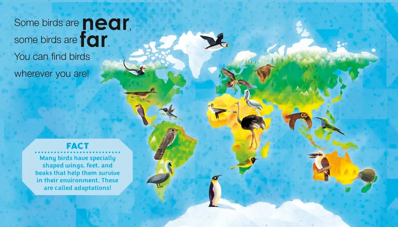 Birding for Babies: Birds Around the World US - Board book