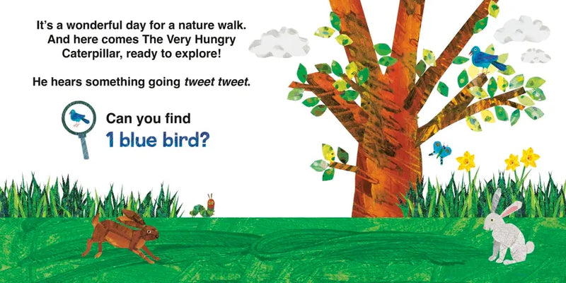 The Very Hungry Caterpillar's Nature Walk US - Board book