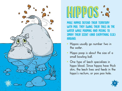 Nitty-Gritty Grossology US - Paperback / softback