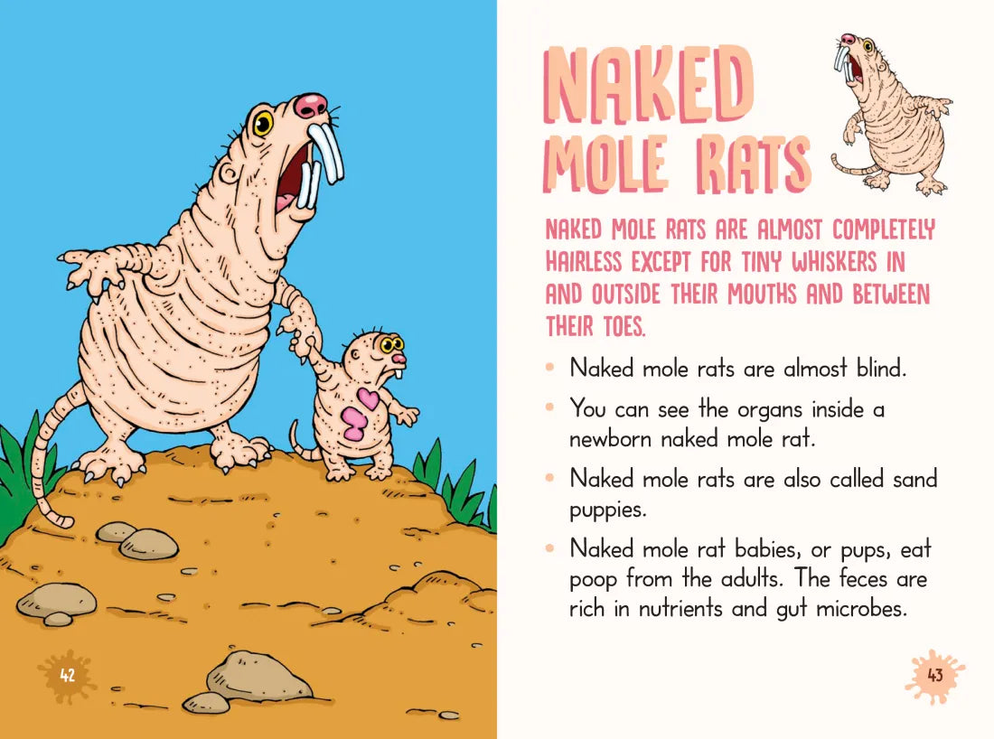 Nitty-Gritty Grossology US - Paperback / softback