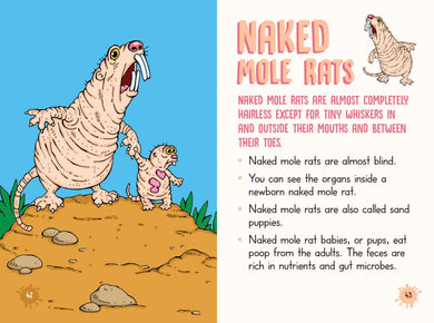 Nitty-Gritty Grossology US - Paperback / softback