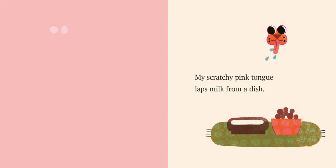 Peek-a-Clue: Animals at Home US - Board book