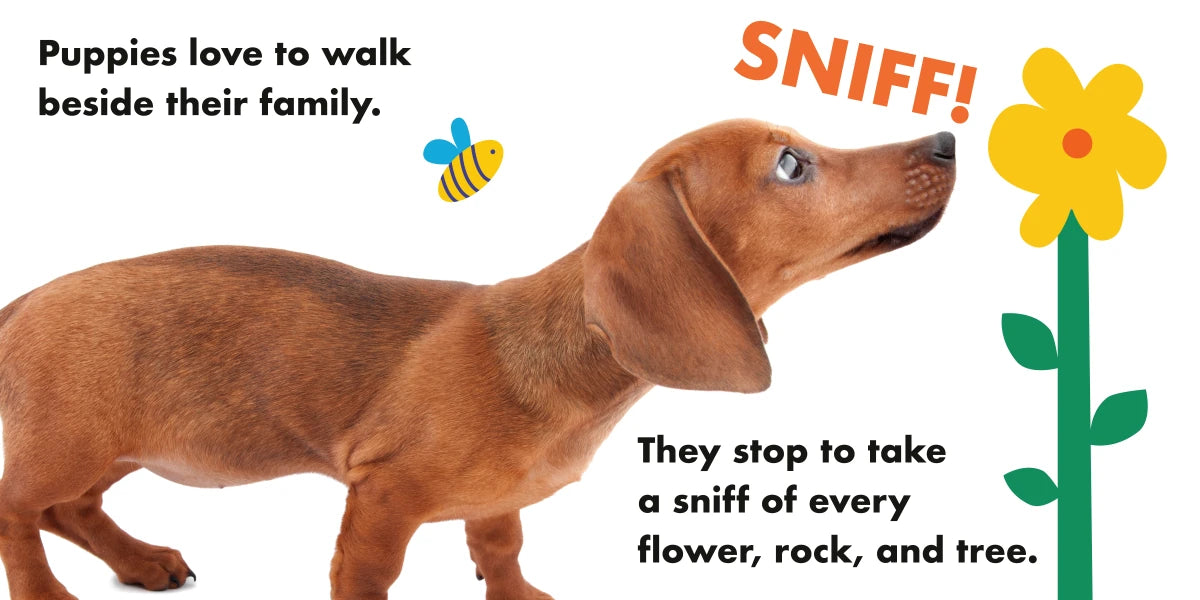 What Do Puppies Love? US - Board book