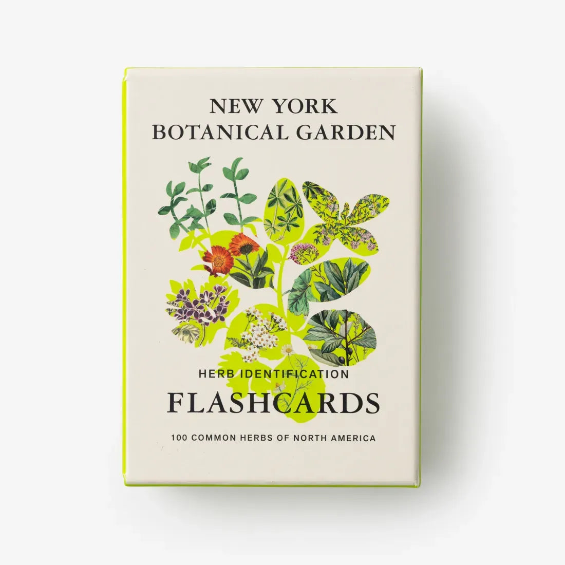 New York Botanical Garden Herb Identification Flashcards US - Cards