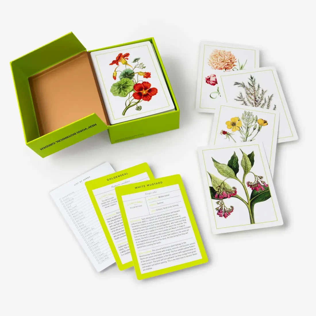 New York Botanical Garden Herb Identification Flashcards US - Cards