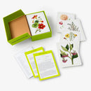 New York Botanical Garden Herb Identification Flashcards US - Cards