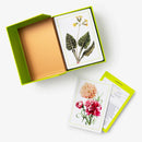 New York Botanical Garden Herb Identification Flashcards US - Cards