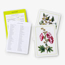 New York Botanical Garden Herb Identification Flashcards US - Cards