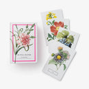 New York Botanical Garden: In Full Bloom Postcards US - Cards