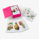 New York Botanical Garden: In Full Bloom Postcards US - Cards